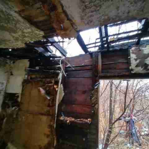 8031 conger (70).jpg